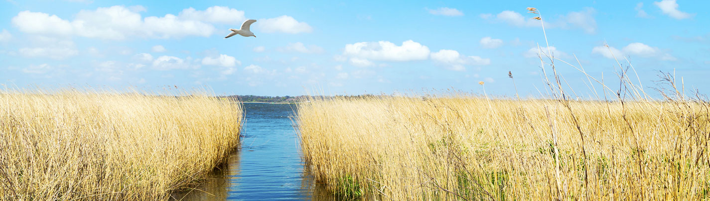 Ergotherapeutin Heike Tjards-Pliska Schleswig