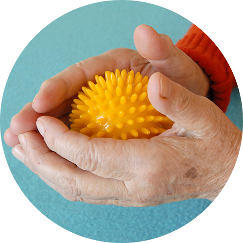 Neuropsychologisches Training Schleswig Pliska